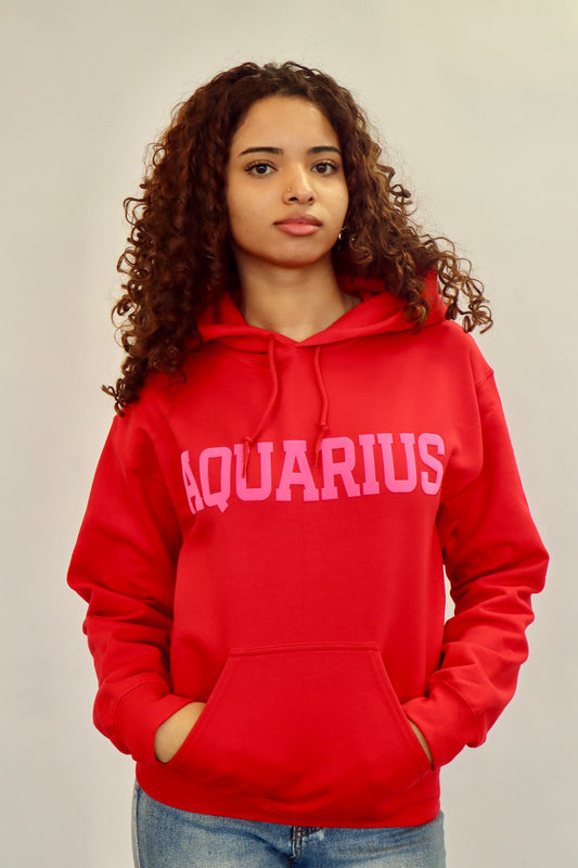 Valentine Zodiac Hoodie
